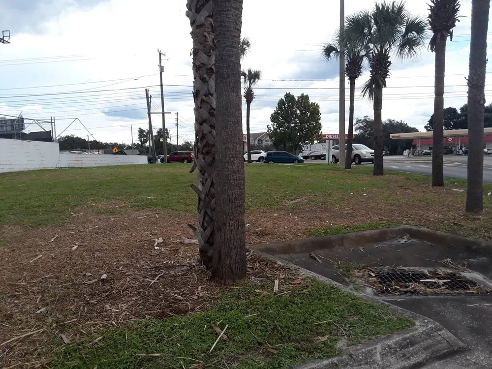 Custom landscaping services for outdoor upgrades across Orlando, FL - A Groomer Lawn & Tree Enterprise