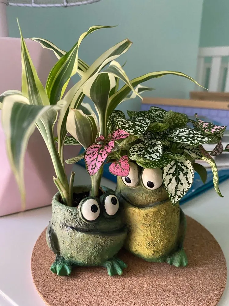 Expert landscape design in Hendersonville, NC by A Growing Concern