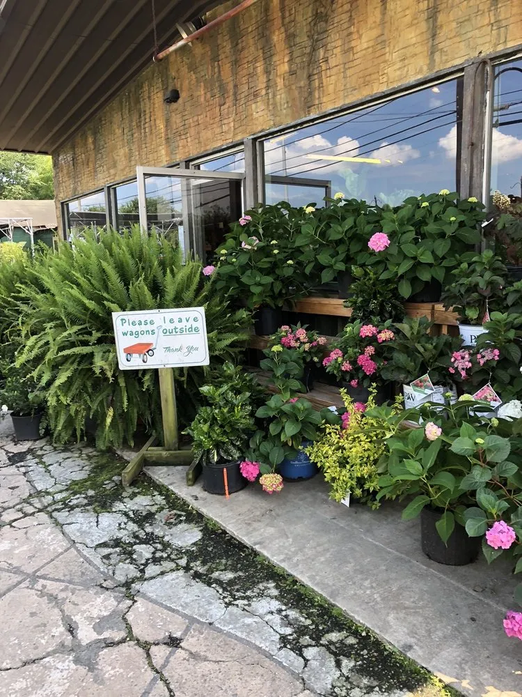 Expert residential landscaping for outdoor upgrades across Hendersonville, NC - A Growing Concern