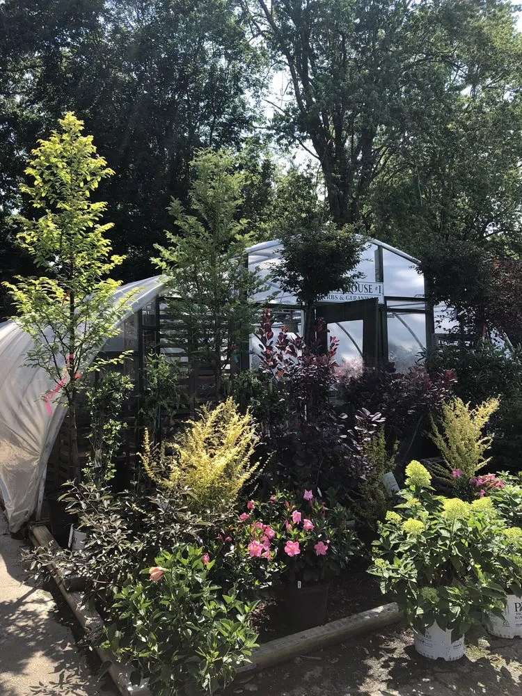 Reliable yard cleanup service for beautiful yards in Hendersonville, NC by A Growing Concern