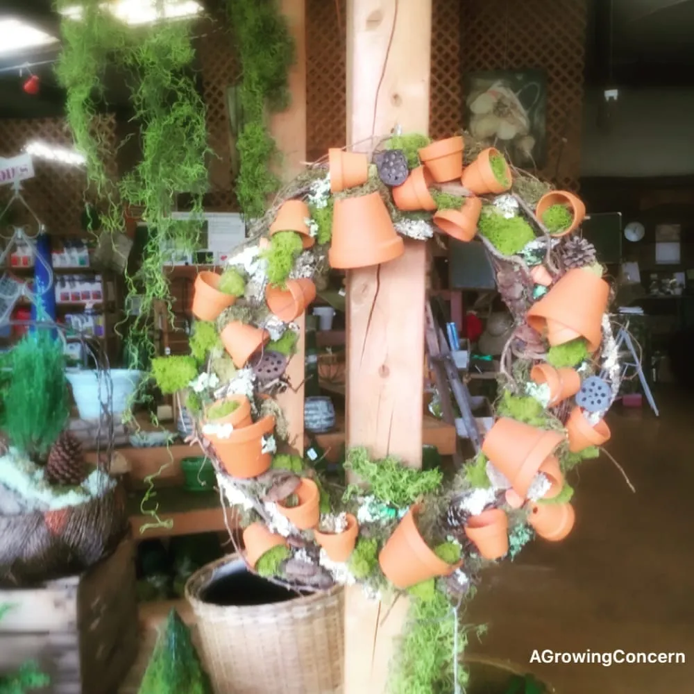 Reliable landscape design experts serving Hendersonville, NC - A Growing Concern