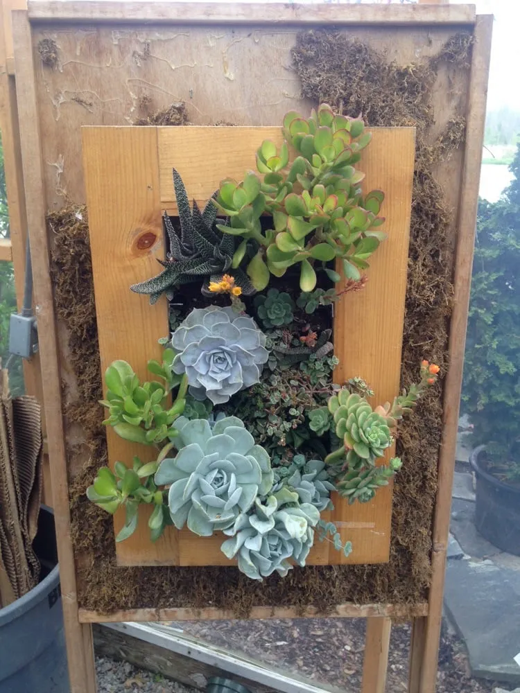 Local lawn mowing service for beautiful yards in Hendersonville, NC by A Growing Concern