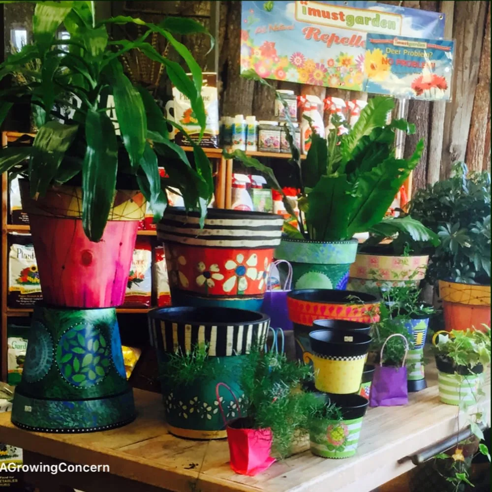 Affordable yard cleanup service experts serving Hendersonville, NC - A Growing Concern