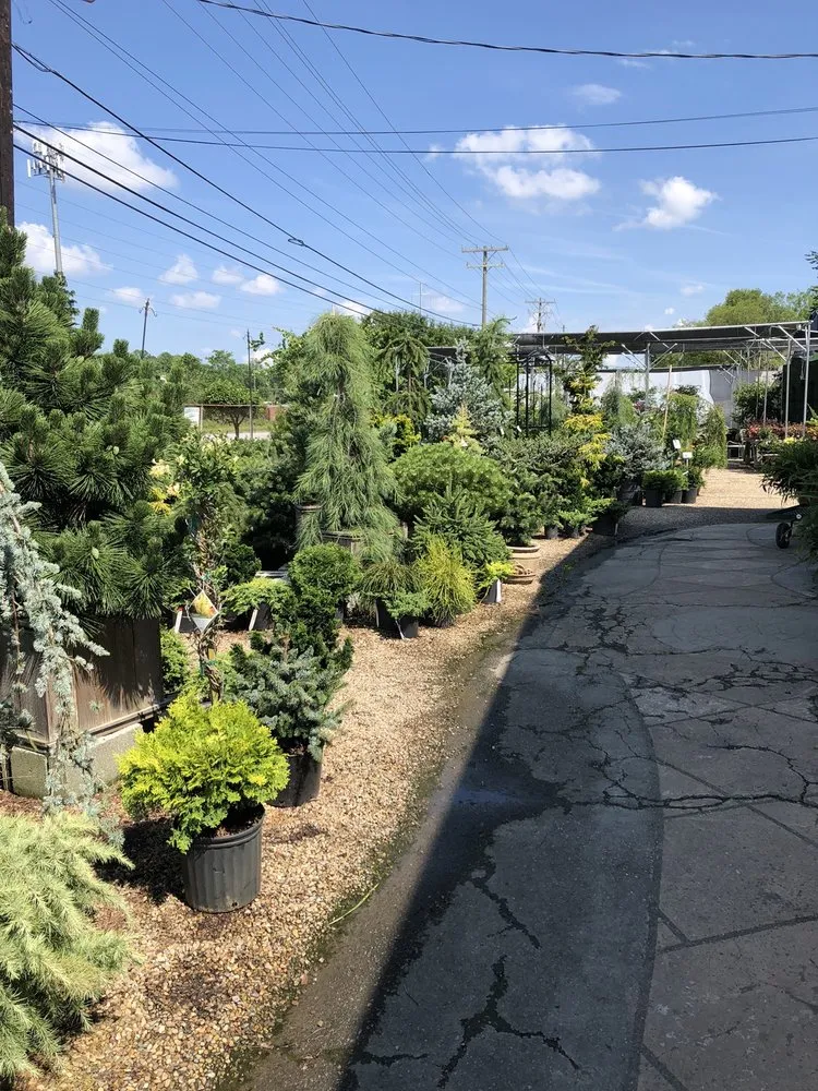 Professional yard maintenance with custom design in Hendersonville, NC by A Growing Concern