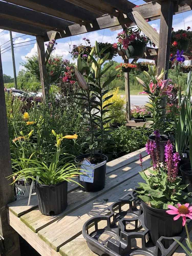 Expert yard cleanup service in Hendersonville, NC - A Growing Concern