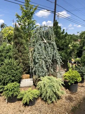 A Growing Concern Logo