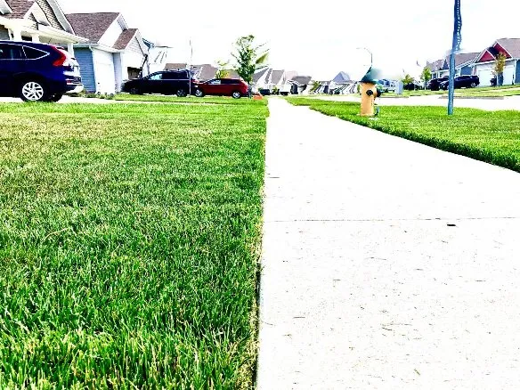 Reliable landscaping services in Ankeny, IA by A Guy And A Mower