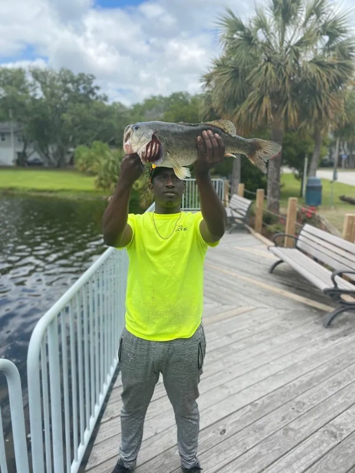 Trusted lawn care service experts serving Myrtle Beach, SC - A+ Hands