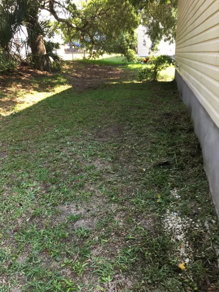 Professional residential landscaping in Myrtle Beach, SC - A+ Hands