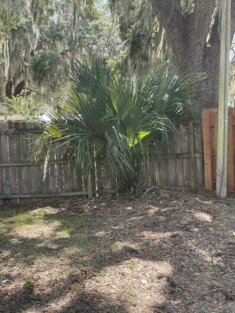Expert residential landscaping near you in Eustis, FL by A Handy Pro Property Maintenance