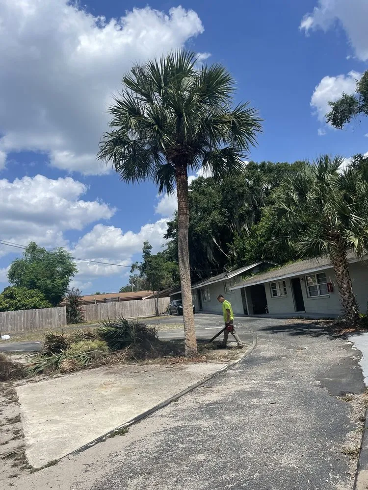 Top-rated yard maintenance near you across Eustis, FL - A Handy Pro Property Maintenance