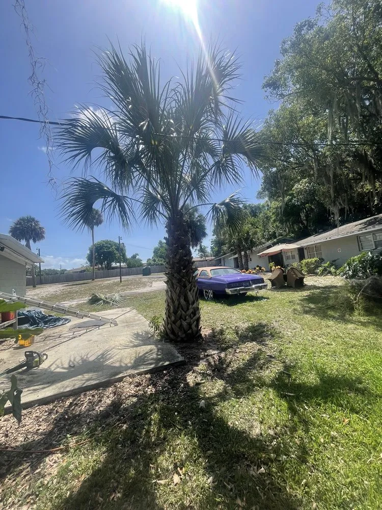 Trusted lawn care service in Eustis, FL - A Handy Pro Property Maintenance