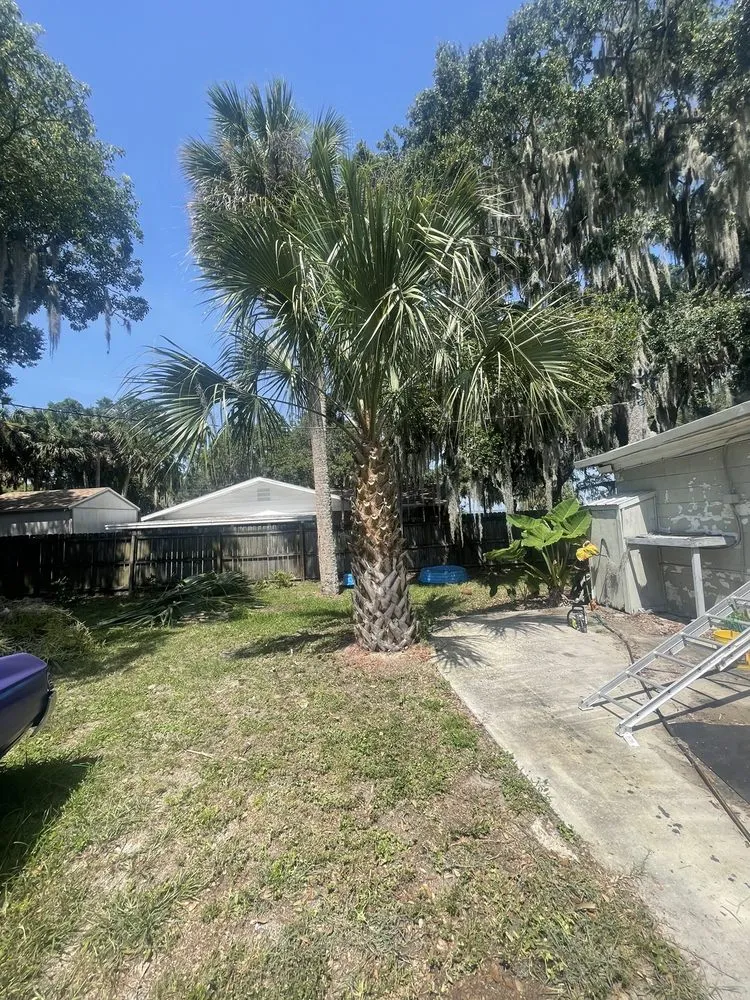 Trusted landscape installation for outdoor upgrades across Eustis, FL - A Handy Pro Property Maintenance