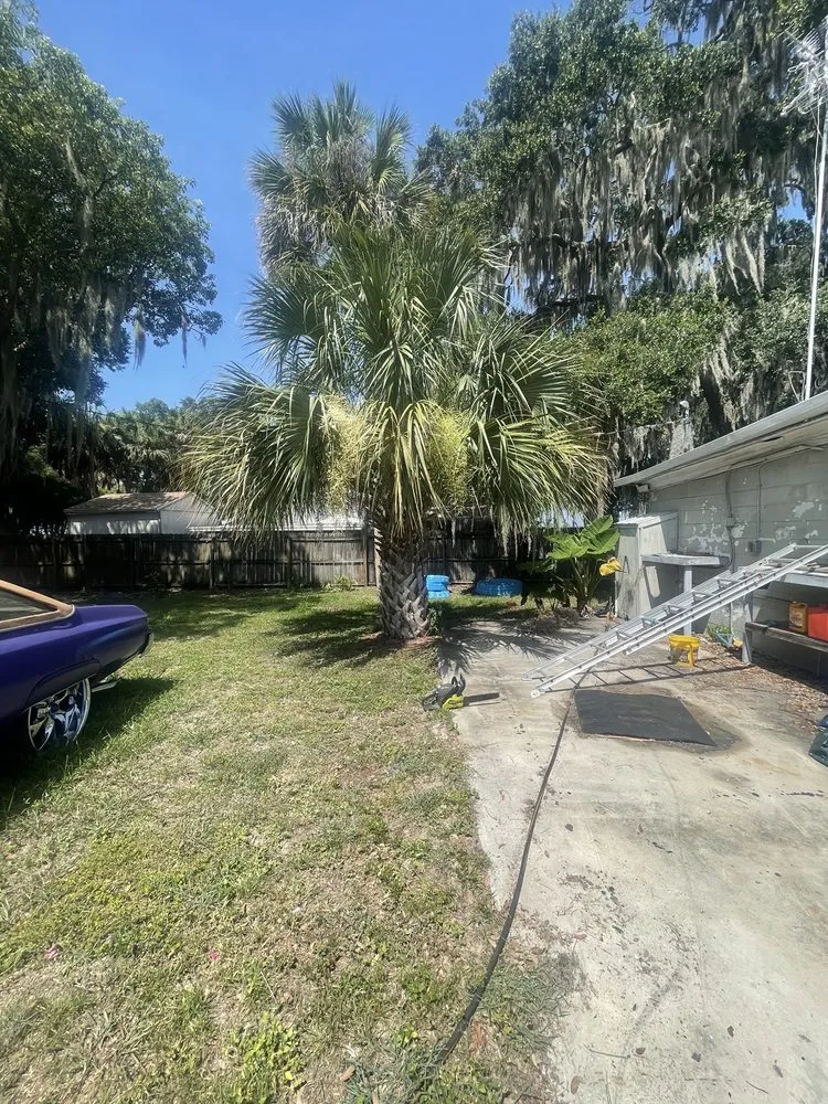 Trusted landscape design for year-round maintenance in Eustis, FL by A Handy Pro Property Maintenance