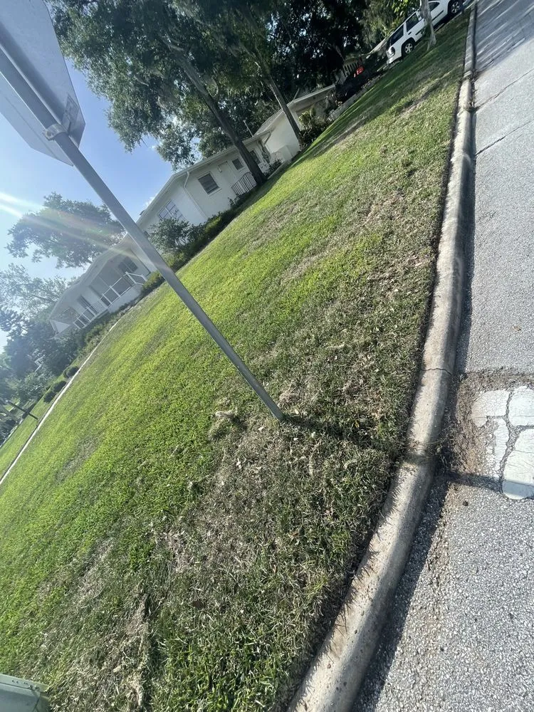 Trusted yard maintenance in Eustis, FL - A Handy Pro Property Maintenance