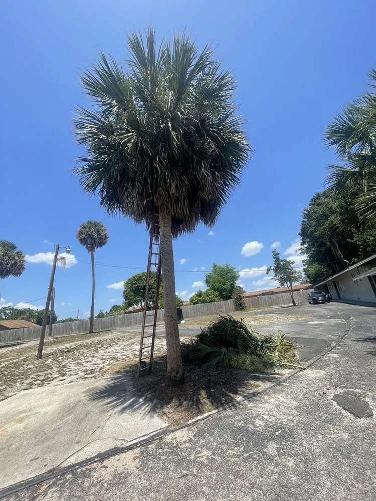 Top-rated garden landscaping experts serving Eustis, FL - A Handy Pro Property Maintenance