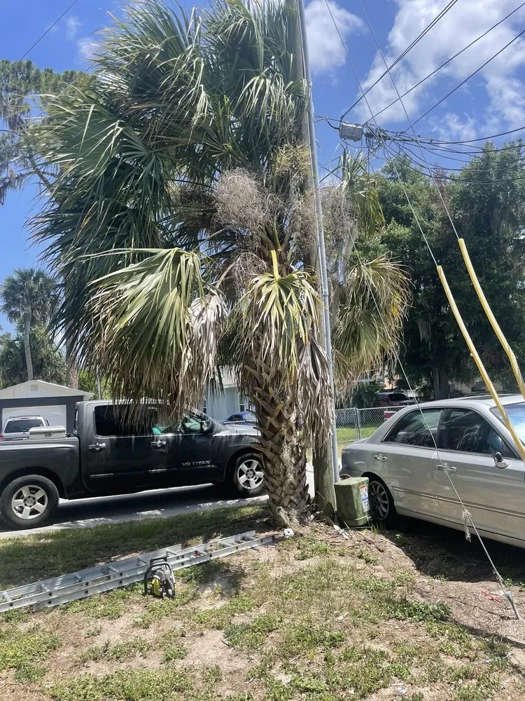 Professional landscaping services in Eustis, FL by A Handy Pro Property Maintenance