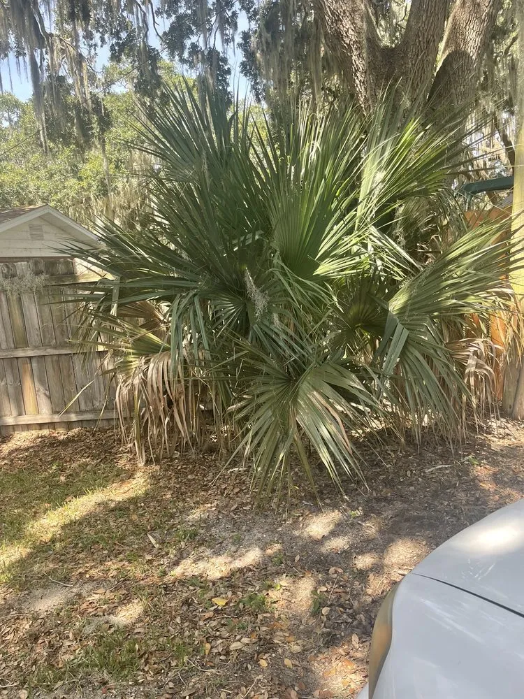 Reliable outdoor landscaping for outdoor upgrades in Eustis, FL by A Handy Pro Property Maintenance