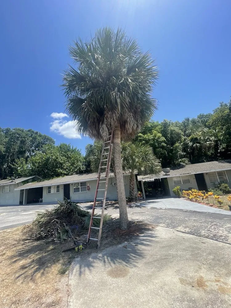 Top-rated outdoor landscaping with custom design in Eustis, FL by A Handy Pro Property Maintenance