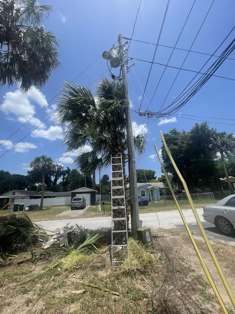 Expert landscaping services experts serving Eustis, FL - A Handy Pro Property Maintenance