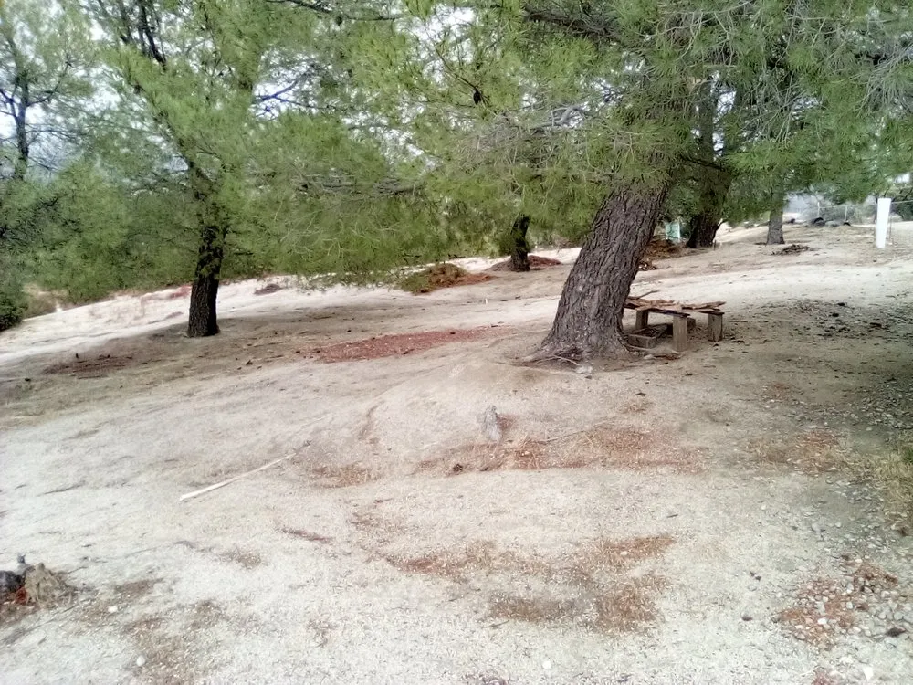 Local landscape installation for year-round maintenance across Campo, CA - A Helping Hand