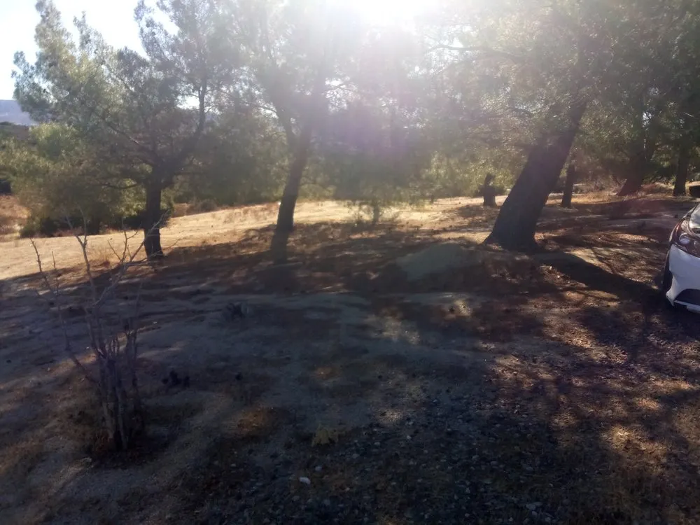 Local residential landscaping in Campo, CA - A Helping Hand