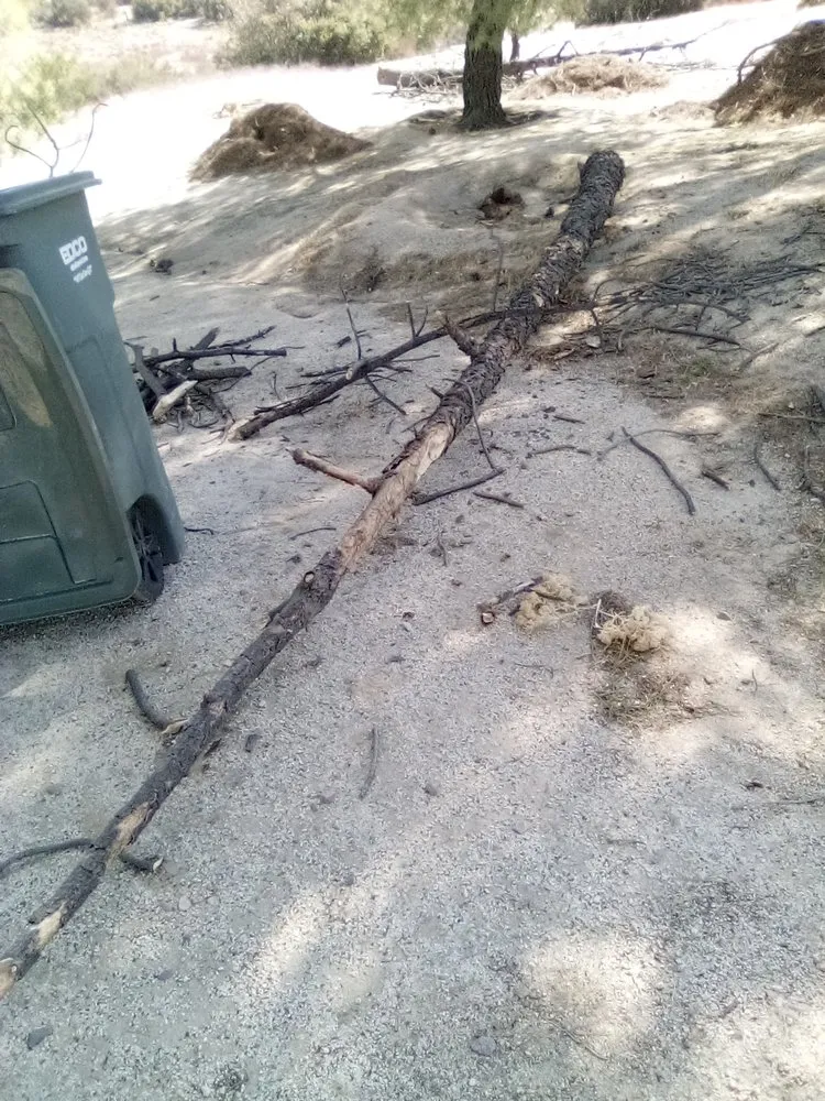 Expert landscape installation experts serving Campo, CA - A Helping Hand