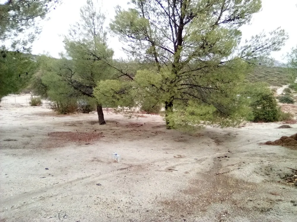 Professional residential landscaping experts serving Campo, CA - A Helping Hand