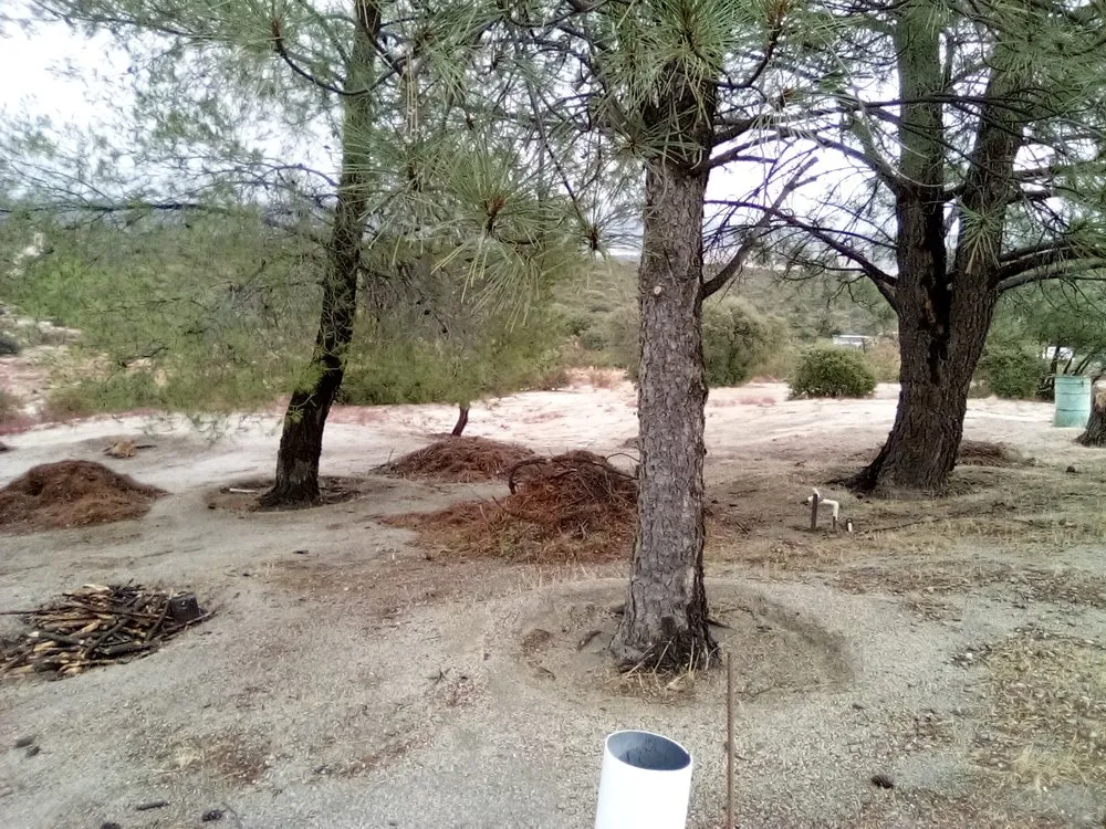 Custom residential landscaping in Campo, CA by A Helping Hand