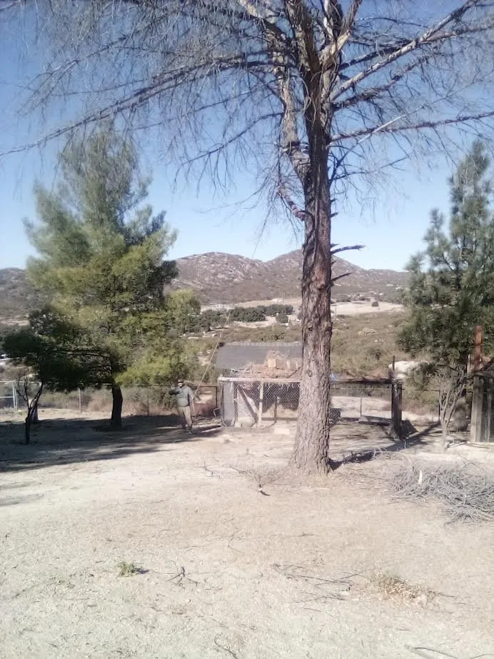 Local garden landscaping for year-round maintenance across Campo, CA - A Helping Hand