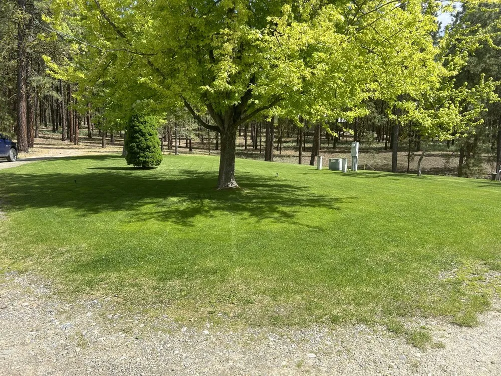 Custom yard cleanup service in Colville, WA by A Helping Hand