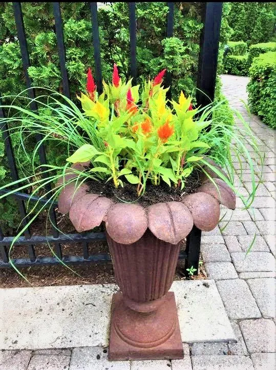 Trusted residential landscaping with custom design across Stillwater, MN - A Helping Hand Yard Maintenance