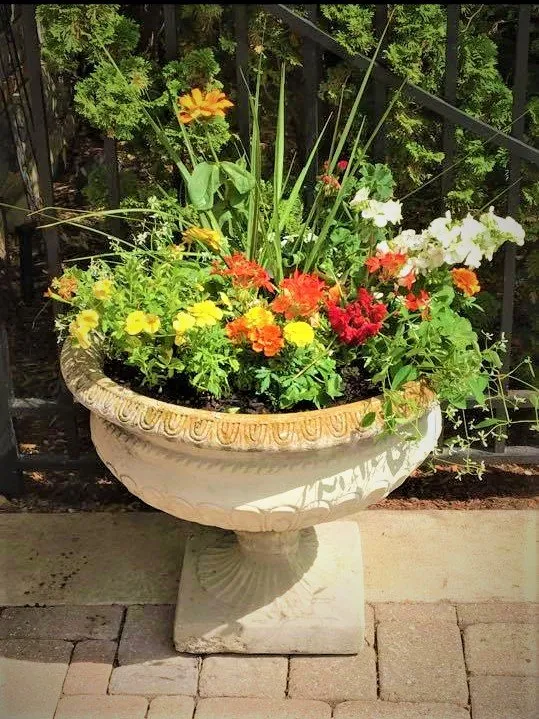 Affordable lawn mowing service experts serving Stillwater, MN - A Helping Hand Yard Maintenance