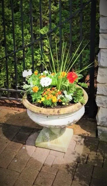 Affordable lawn mowing service for outdoor upgrades in Stillwater, MN by A Helping Hand Yard Maintenance