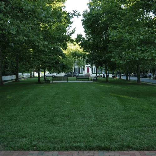 Trusted landscaping services near you in Montgomery, MD by A I R