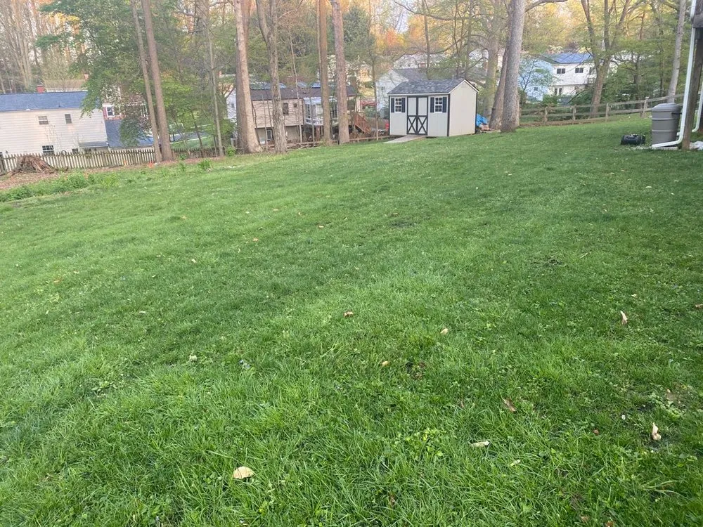 Reliable lawn care service near you in Montgomery, MD by A I R