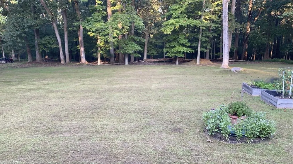 Top-rated lawn care service in Montgomery, MD - A I R