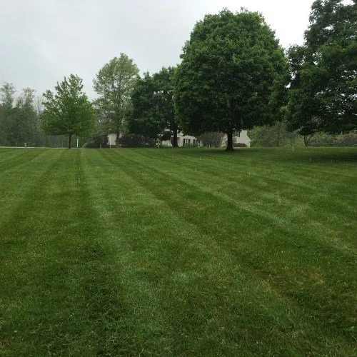 Reliable garden landscaping in Montgomery, MD - A I R