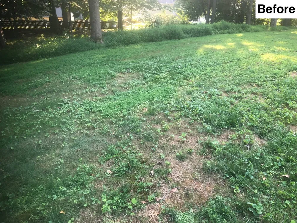 Expert landscape installation in Montgomery, MD by A I R