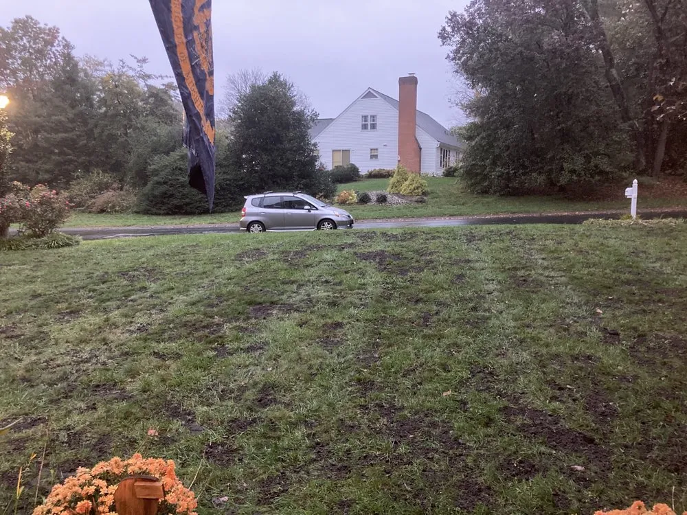 Expert yard cleanup service for homes across Montgomery, MD - A I R
