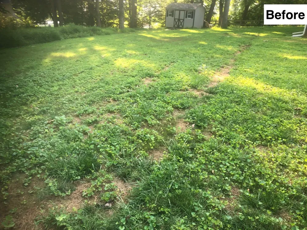 Affordable landscape installation experts serving Montgomery, MD - A I R