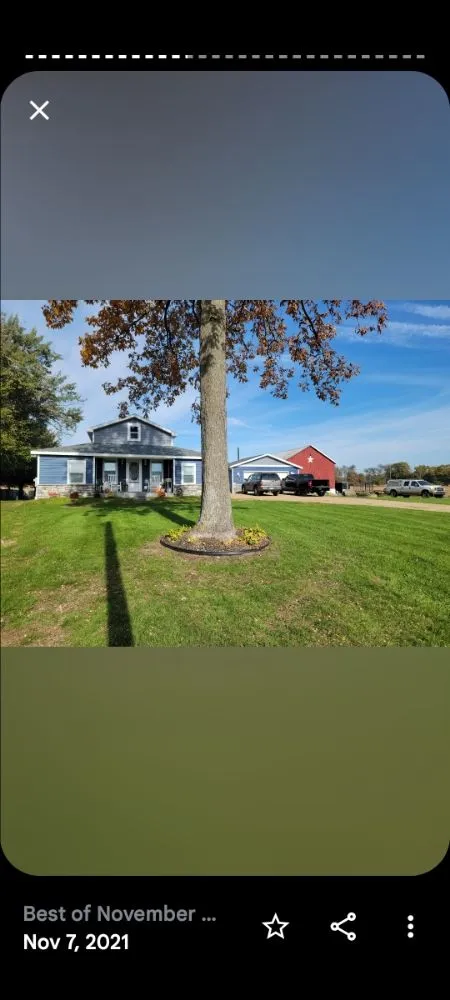 Top-rated yard cleanup service in Martin, MI - A J construction