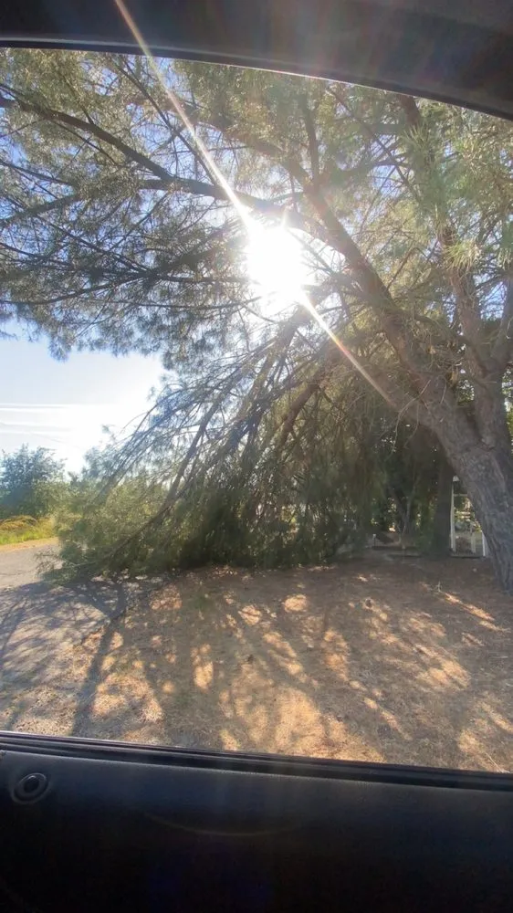 Professional residential landscaping with custom design in Merced, CA by A J Garden Service