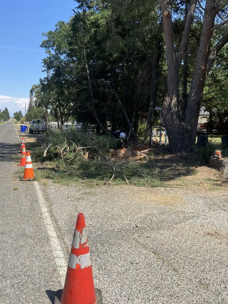 Trusted outdoor landscaping for outdoor upgrades across Merced, CA - A J Garden Service