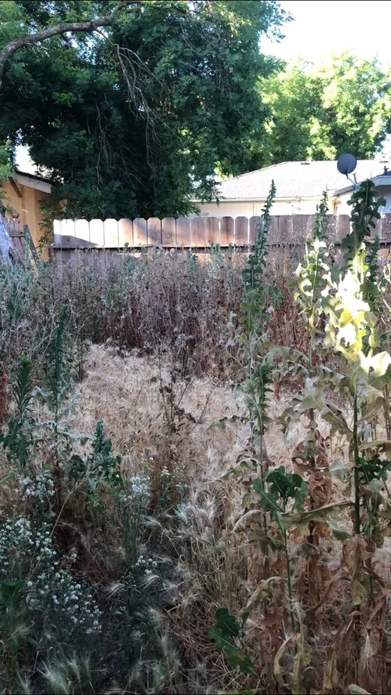 Expert landscaping services in Merced, CA - A J Garden Service