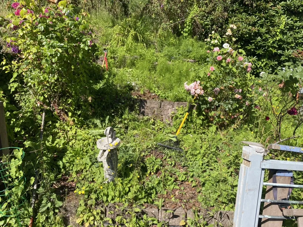 Reliable residential landscaping in Everett, WA - A J L Landscaping