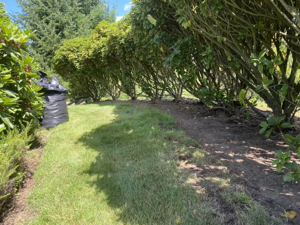 Professional yard cleanup service for homes in Everett, WA by A J L Landscaping