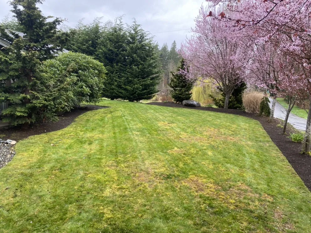 Expert garden landscaping experts serving Everett, WA - A J L Landscaping