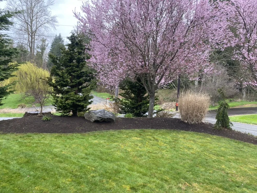 Top-rated yard maintenance for beautiful yards in Everett, WA by A J L Landscaping