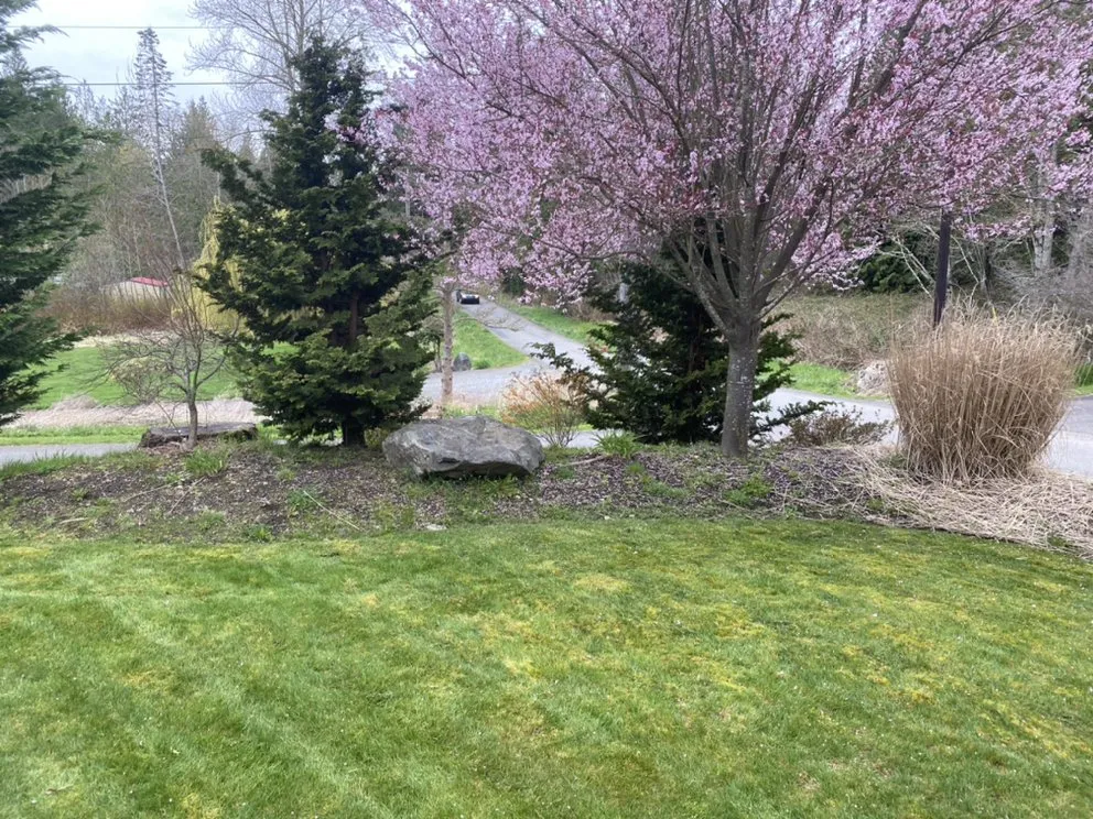 Expert yard cleanup service in Everett, WA - A J L Landscaping